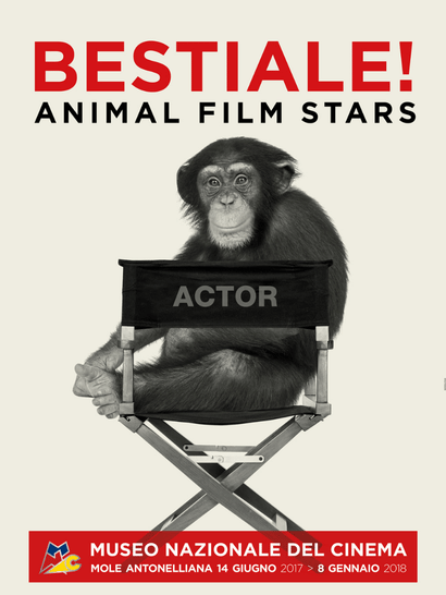 BESTIALE! Animal Film Stars